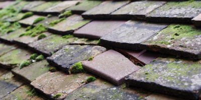 Woodwalton roof repair costs